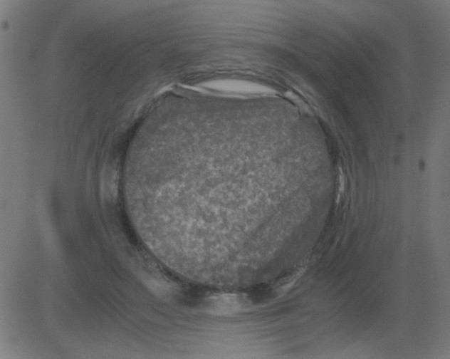 X0000081470499200702092343