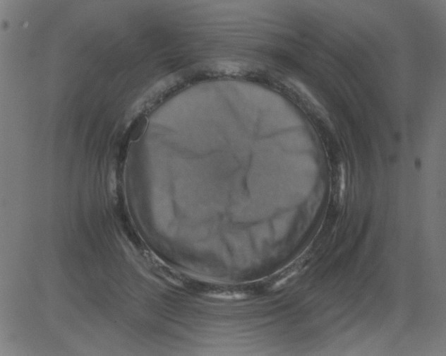 X0000081470500200702092343