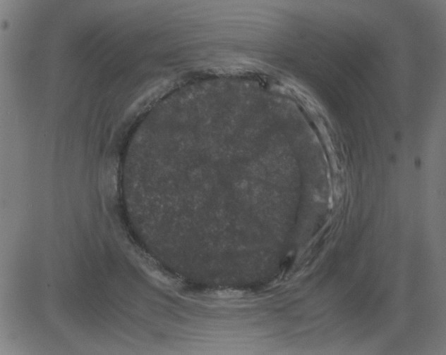 X0000081470501200702092343