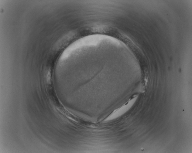 X0000081470502200702092343