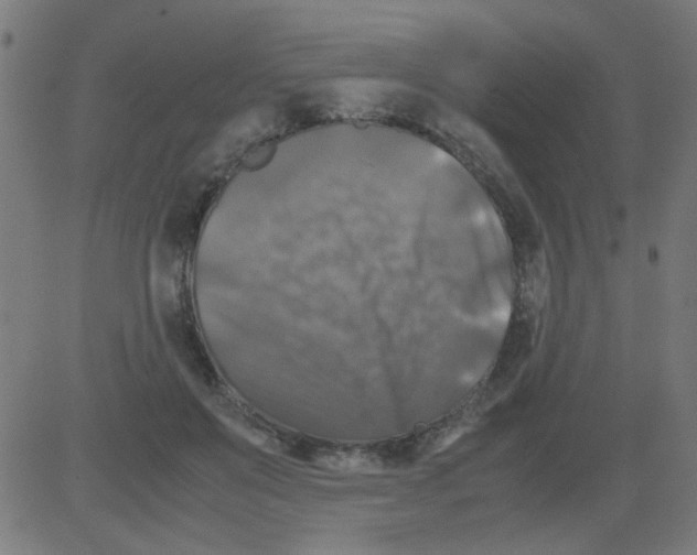 X0000081470503200702092343