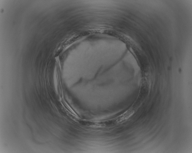 X0000081470504200702092343