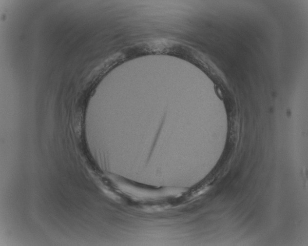 X0000081470505200702092343