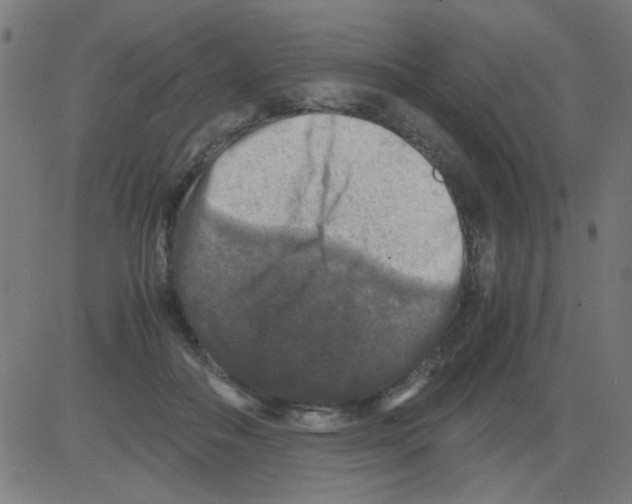 X0000081470506200702092343