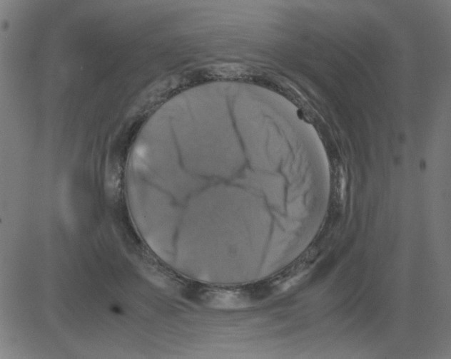 X0000081470507200702092343