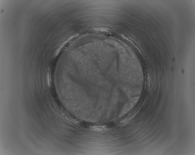 X0000081470508200702092343