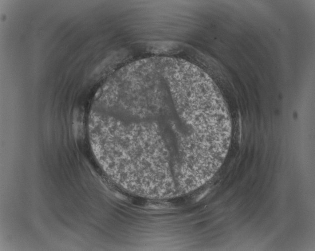 X0000081470510200702092343