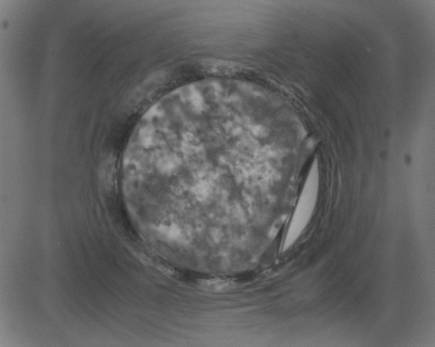 X0000081470511200702092343