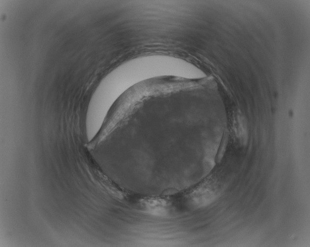 X0000081470512200702092343