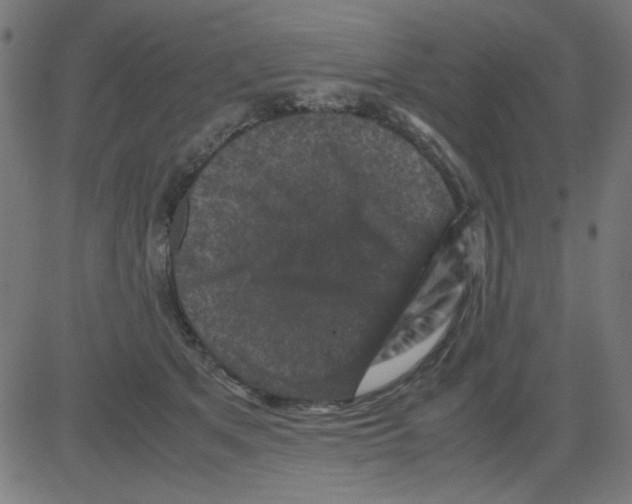 X0000081470513200702092343