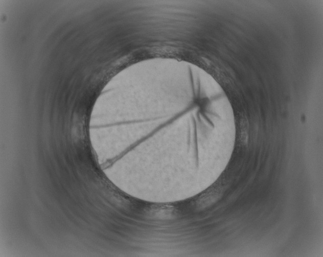 X0000081470514200702092343