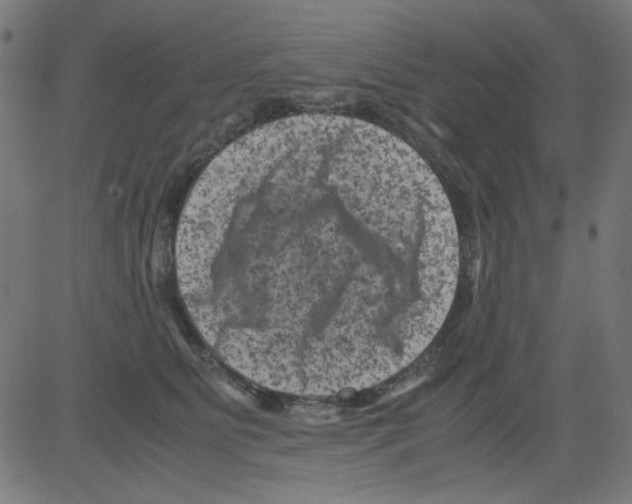 X0000081470515200702092343