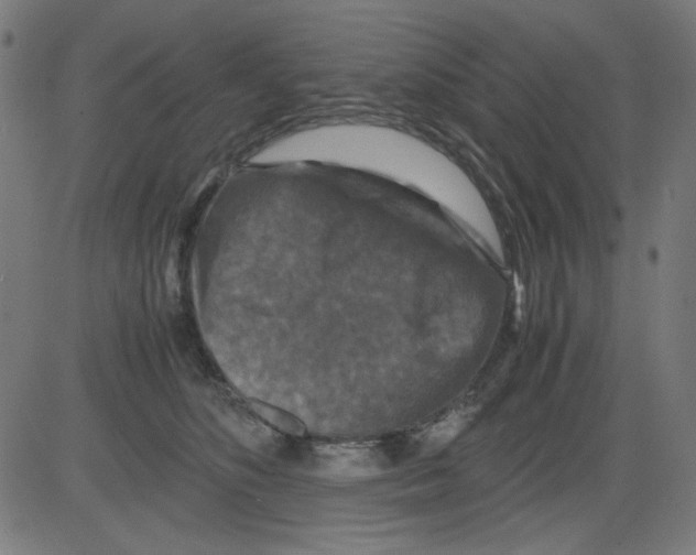 X0000081470516200702092343