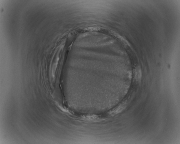 X0000081470517200702092343