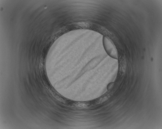 X0000081470518200702092343