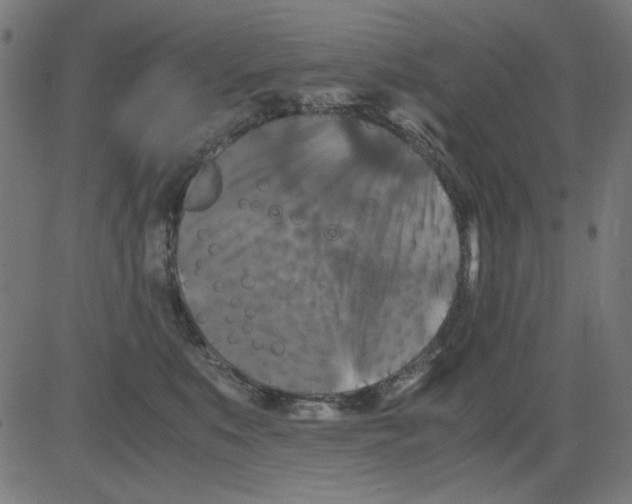 X0000081470519200702092343