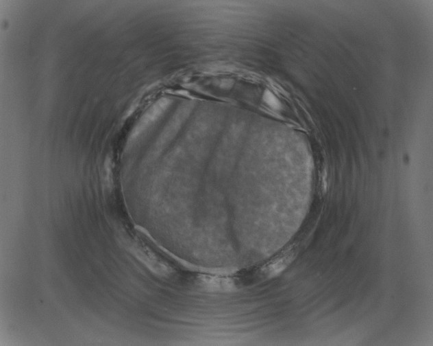 X0000081470520200702092343