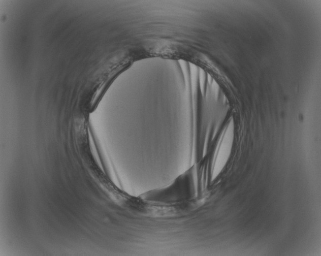 X0000081470521200702092343