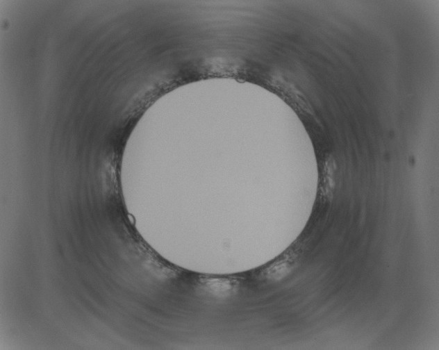 X0000081470522200702092343