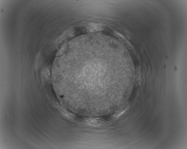 X0000081470523200702092343