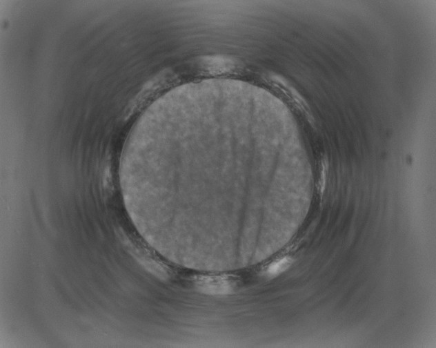 X0000081470524200702092343