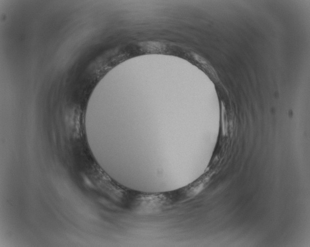 X0000081470525200702092343