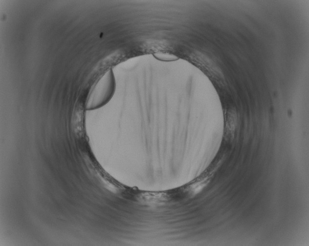 X0000081470526200702092343