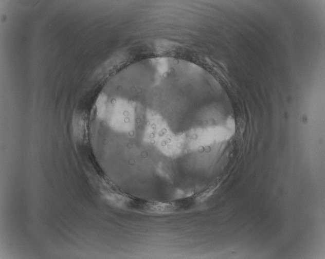 X0000081470527200702092343