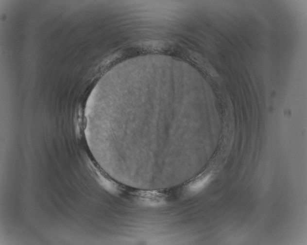 X0000081470528200702092343