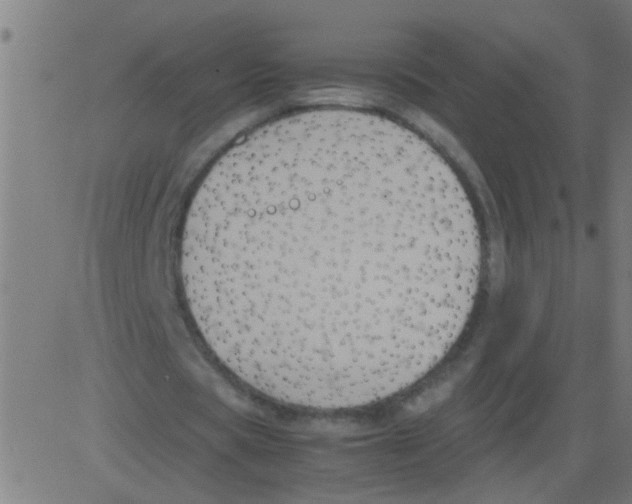 X0000081470529200702092342