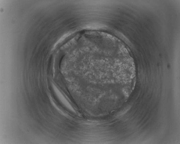 X0000081470530200702092342