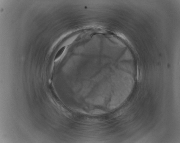 X0000081470531200702092342