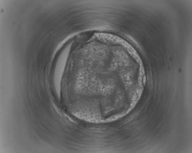 X0000081470532200702092342