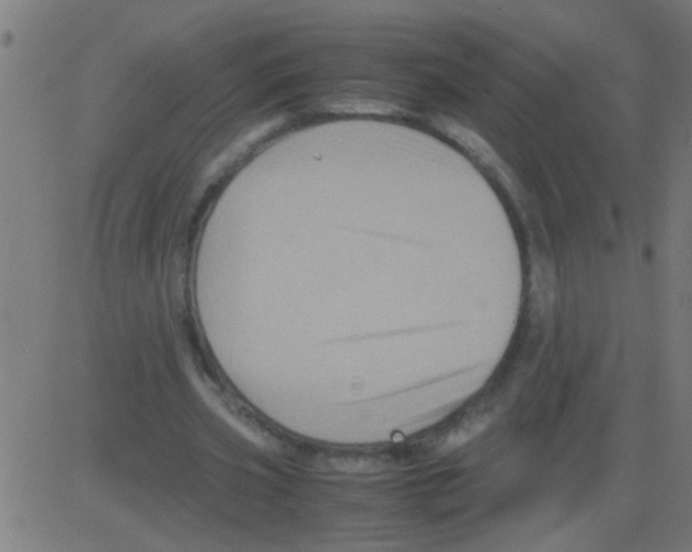 X0000081470533200702092342