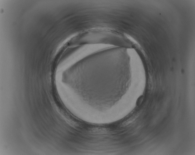 X0000081470535200702092342