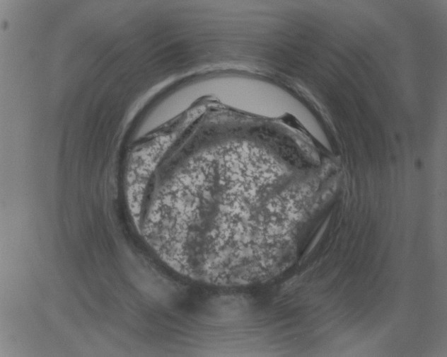 X0000081470536200702092342