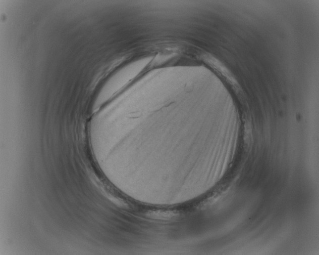 X0000081470537200702092342