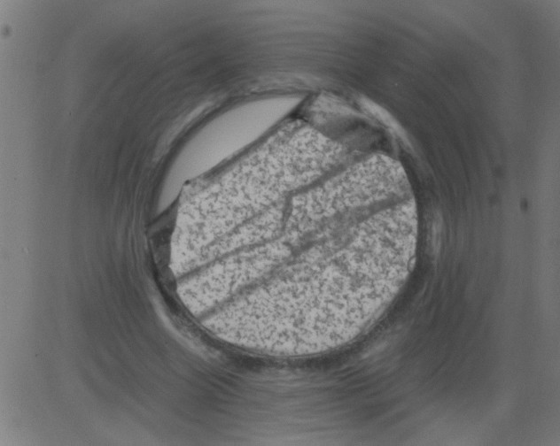 X0000081470538200702092342