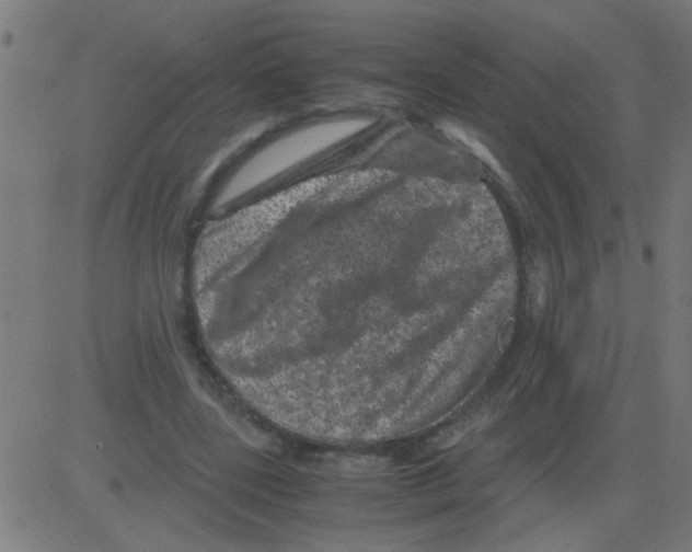 X0000081470539200702092342