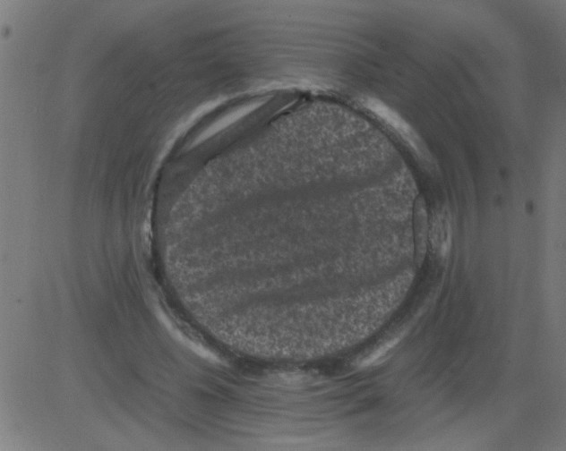 X0000081470540200702092342