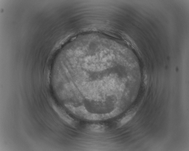 X0000081470542200702092342