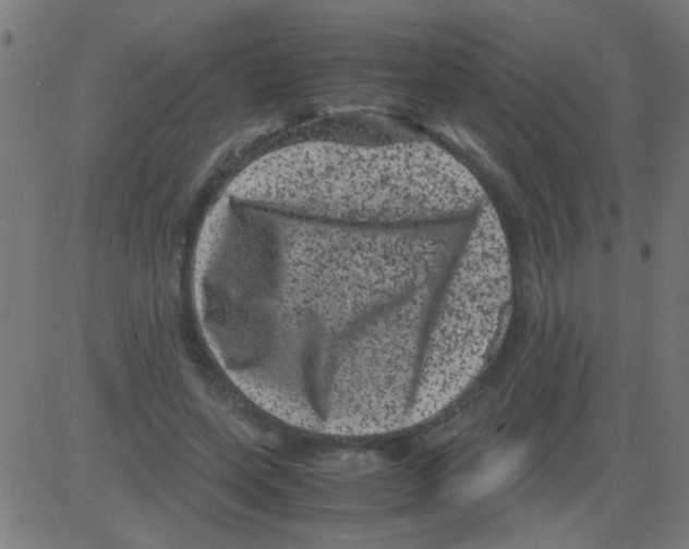 X0000081470543200702092342