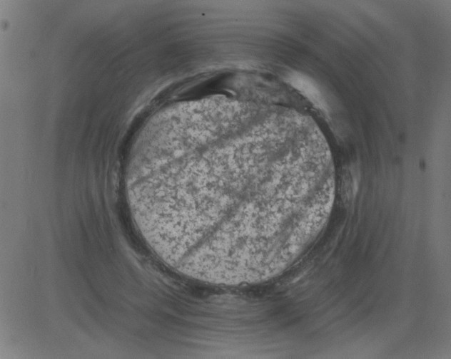 X0000081470544200702092342