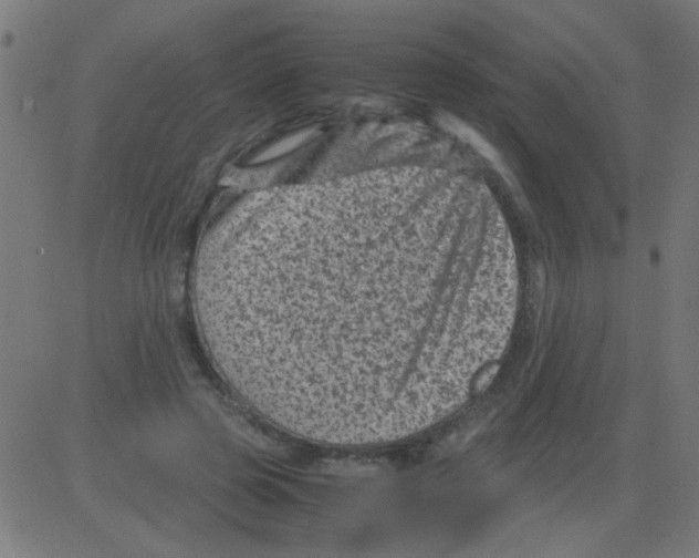 X0000081470545200702092342