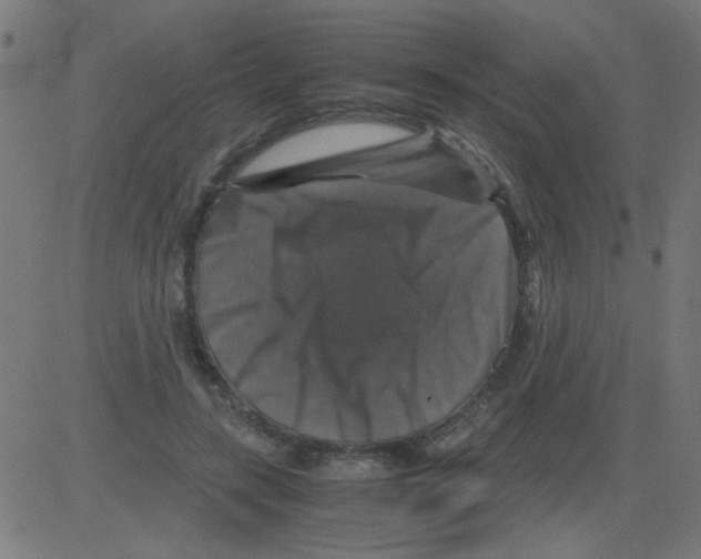 X0000081470547200702092342