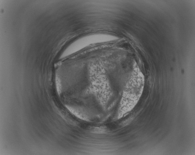 X0000081470548200702092342