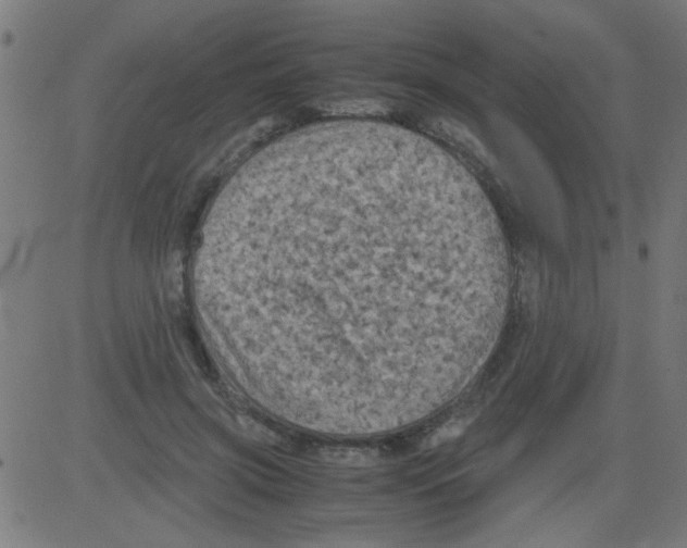 X0000081470549200702092342