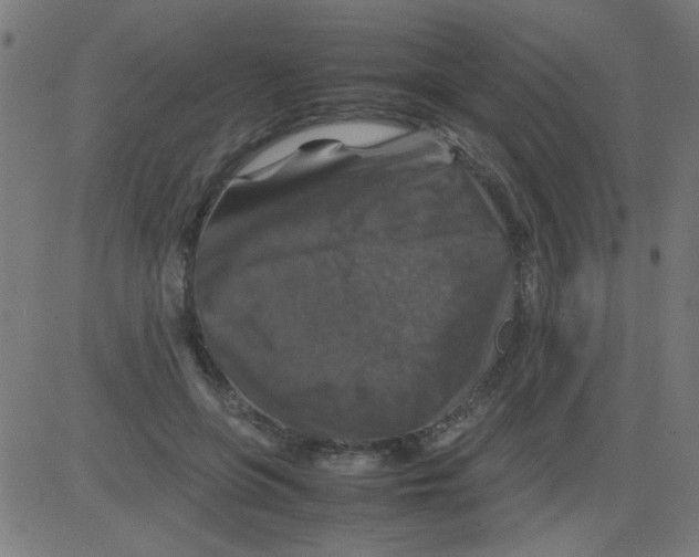 X0000081470551200702092342