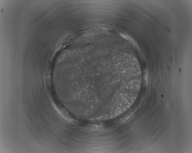 X0000081470552200702092342