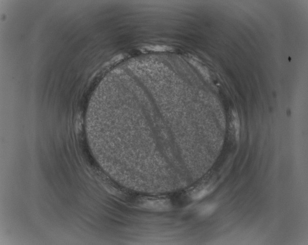 X0000081470555200702092342